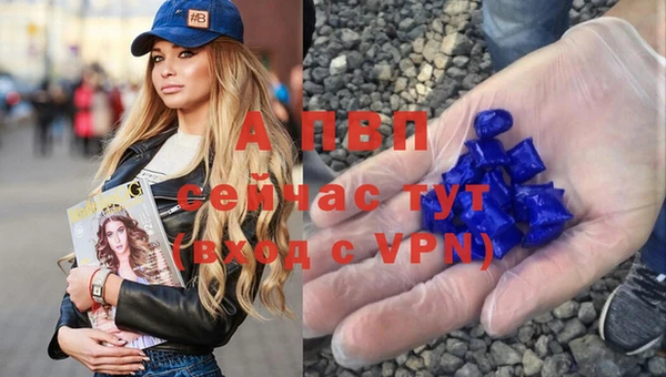 apvp Заводоуковск