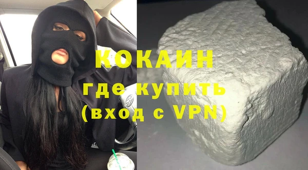ПСИЛОЦИБИНОВЫЕ ГРИБЫ Дмитриев