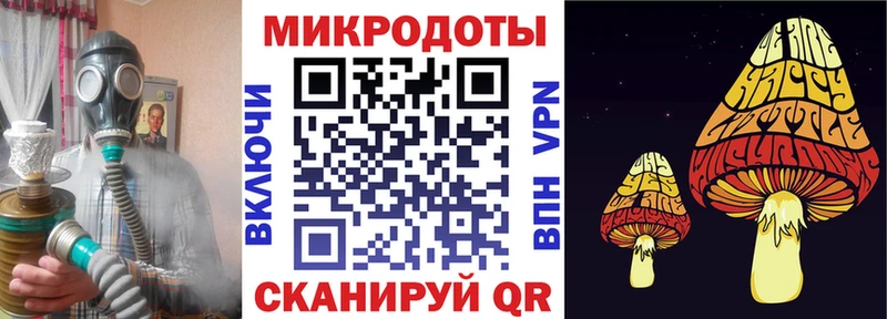 Псилоцибиновые грибы Psilocybine cubensis Кирово-Чепецк