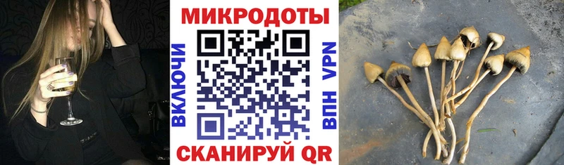 Псилоцибиновые грибы Psilocybine cubensis  Купить где  Кирово-Чепецк 